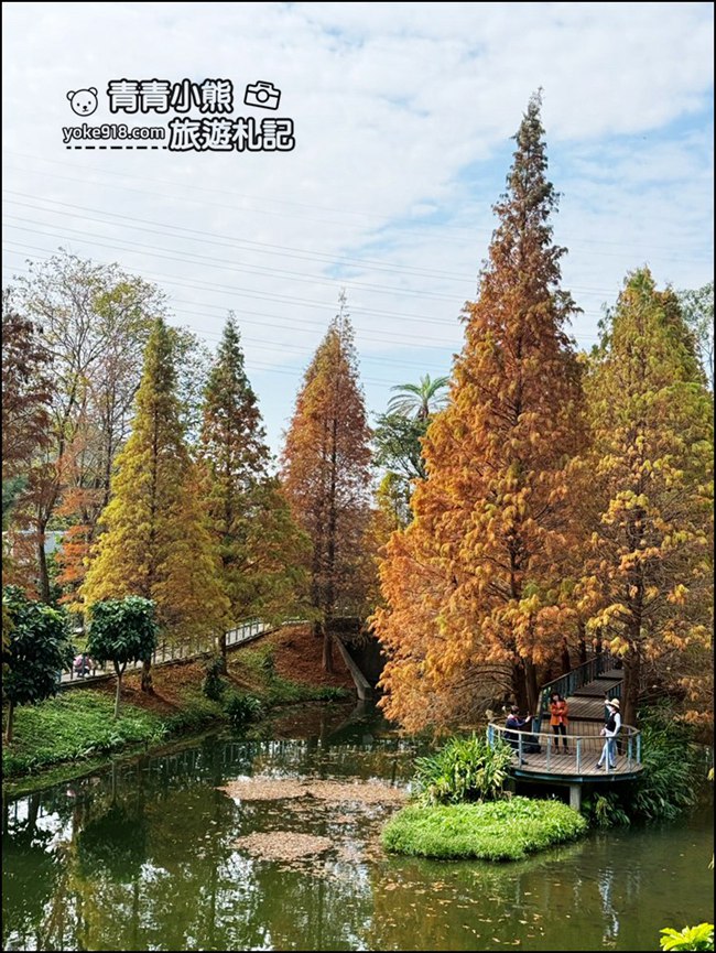 桃園景點》長庚養生村．落羽松湖畔散步去~水上平台木棧道好迷人 @青青小熊＊旅遊札記