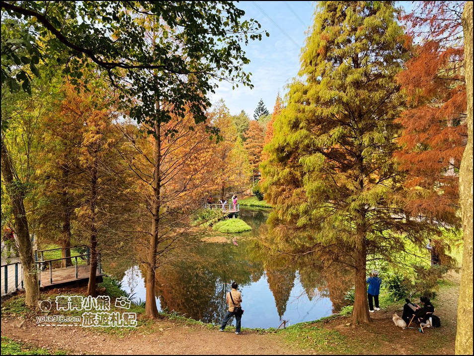 桃園景點》長庚養生村.落羽松湖畔散步去~水上平台木棧道好迷人 @青青小熊*旅遊札記 桃園景點》長庚養生村.落羽松湖畔散步去~水上平台木棧道好迷人 @青青小熊*旅遊札記