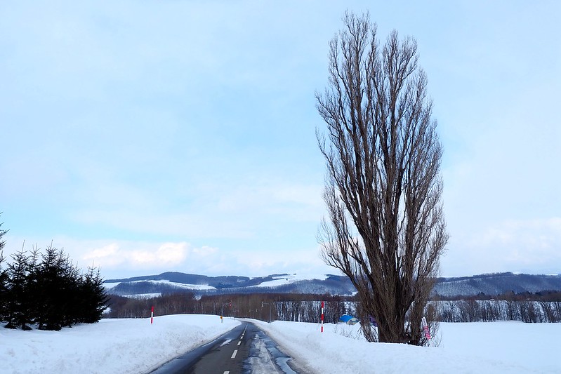 北海道自由行》北海道&東北必玩景點~行程規劃篇 @青青小熊*旅遊札記