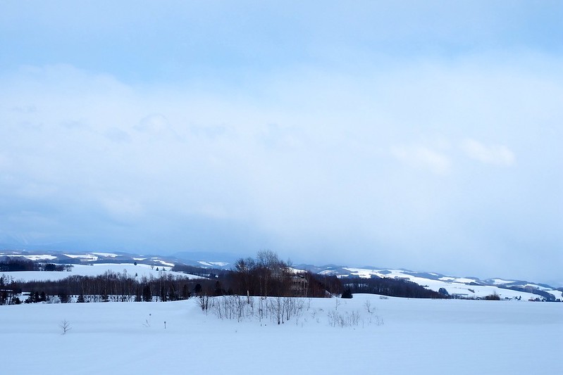北海道自由行》北海道&東北必玩景點~行程規劃篇 @青青小熊*旅遊札記