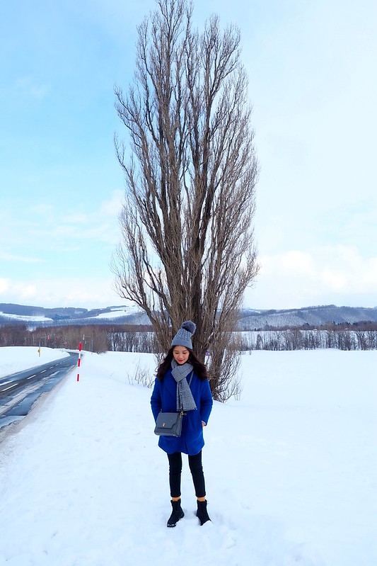 北海道自由行》北海道&東北必玩景點~行程規劃篇 @青青小熊*旅遊札記