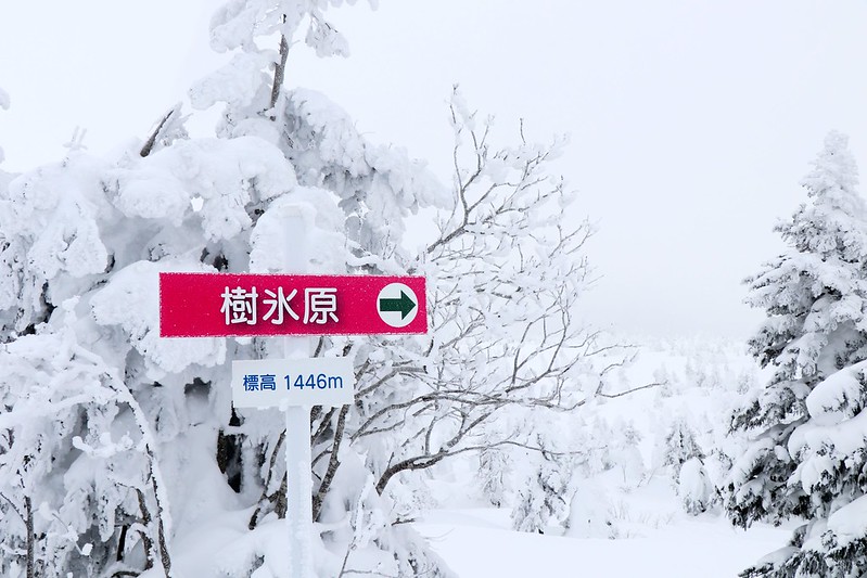 日本東北自由行》東北行程推薦.包含必訪景點.住宿.交通攻略. 美食購物一次分享 @青青小熊*旅遊札記